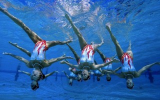 中国足彩竞彩网|德甲乒联巅峰对决，樊振东独取两分难救主，萨尔布吕肯2-3惜败多特蒙德