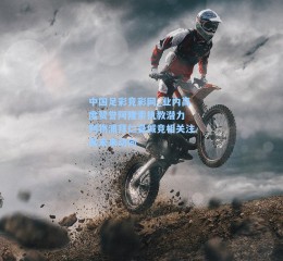 中国足彩竞彩网_业内高度赞誉阿隆索执教潜力 利物浦拜仁曼城竞相关注其未来动向